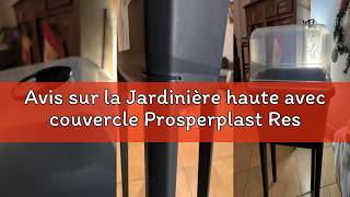 Avis sur la Jardinière haute avec couvercle Prosperplast Respana Planter Ecoline en plastique de cou