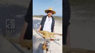 Islan Shenanigans : spiders &amp; cameramen #islandlife #funnymoments