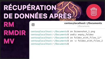 Comment restaurer des fichiers et des dossiers supprimés via Terminal (rm, rmdir, mv) sous Linux