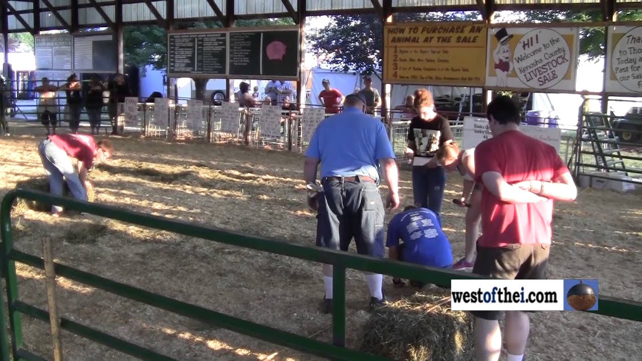 2013 Kenosha County Fair hay bale throw YouTube