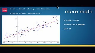 Giving the Bird to Python Profile