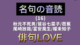 鷲谷七菜子さん？　俳句　色紙 鷲谷七菜子さん？ 俳句 色紙