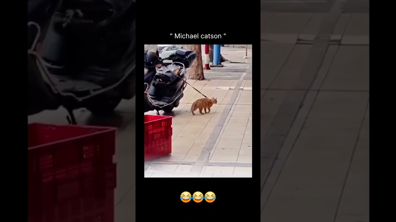 SQL Interview Questions And Answers SQL Query To Fetch Only Even Rows From A Table - YouTube Auto PHP Script