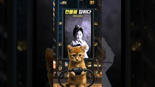 #챗GPT강사이진희 #AI콘텐츠제작  #FusionHanbok #LuxuryHanbok  #KidsFashionShow #SunoMusic  #AIStyleFashion #cats