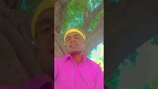 #gadar2firstdaypublicreview Sunny Deol superhit dialogue Bihari Bhai short video