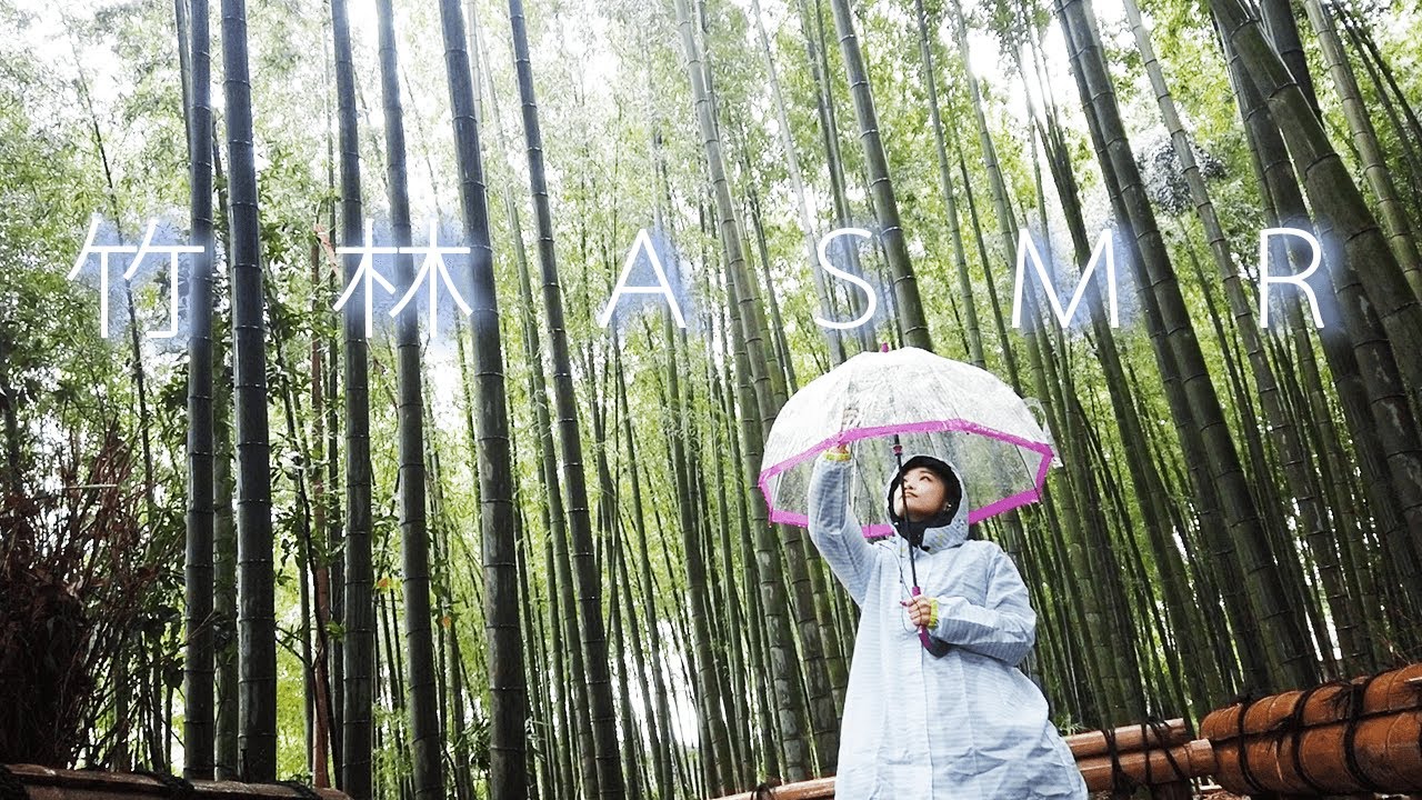 Asmr 音フェチ 至福の雨音で落ち着く For Sleep Relaxing Sounds Youtube Asmr 音フェチ 至福の雨音で落ち着く For Sleep Relaxing Sounds Youtube