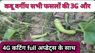 3G Cutting को करना सीखिये || लौकी की 3G कटिंग की पूरी जानकारी