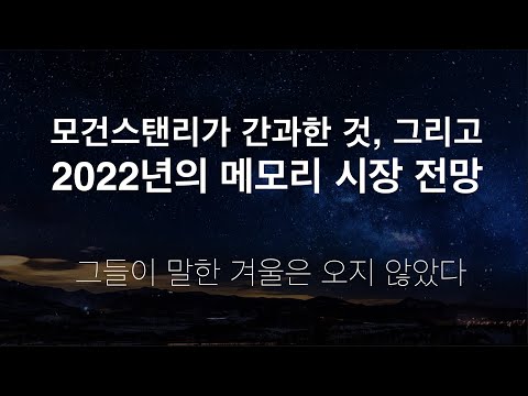 메모리 겨울이 온다던 모건스탠리는 왜 틀렸을까? SK하이닉스와 삼성. 메모리 반도체 시장의 2022년.