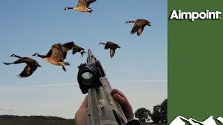Massive Swedish Goose Hunt