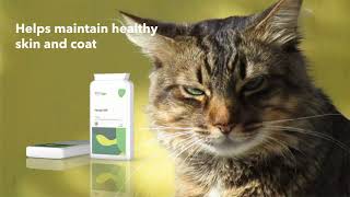 Omega 369 Pet Perfect for Cats & Dogs screenshot 5