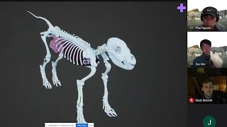 Project Develops 3D Technology For Veterinary Education screenshot 4