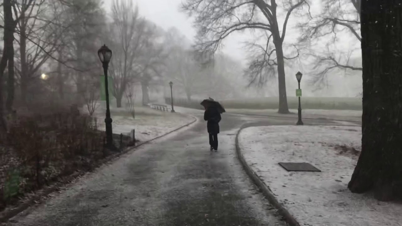 Snow Squall in Central Park, NYC (Dec 2019) - YouTube