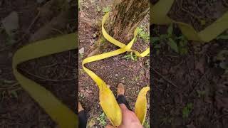 Van Stuck In The Mud, Scar 12,000 Pound Winch From Tow Pro USA Duluth Saves The Day