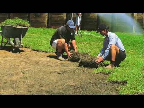 Laying new turf / Lawn Installation - Cobbitty Turf