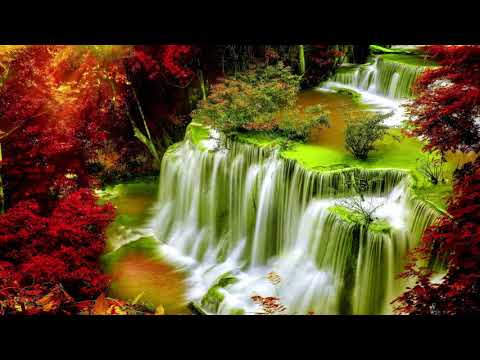 Bernward Koch -