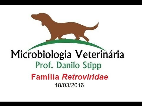 Micro Vet 2015.2 Aula #9 - Família Retroviridae