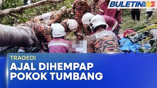 TRAGEDI | Wanita Maut Dihempap Pokok Tumbang Ketika Berkhemah (BU) TRAGEDI | Wanita Maut Dihempap Pokok Tumbang Ketika Berkhemah (BU)