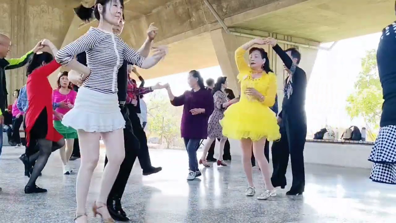 2026/2/22 台中龍井竹坑南寮登山步道#社交舞 #吉魯巴#現場演奏 