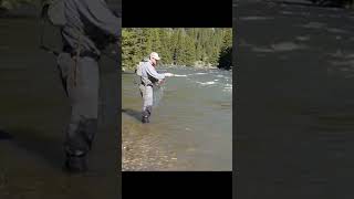 Keep your flies in the water! #fishing #fishingtips #flyfishing #fishinglife #troutfishing