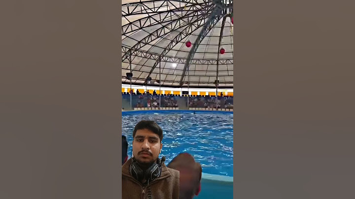 Jab dolphin trick me hui gadbad #amazing #dolphin #funny #swimming