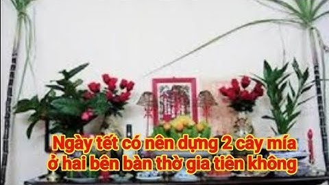 Dựng 2 cây mía ở hai bên bàn thờ trong dịp tết, có nên không.