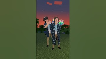 If Minecraft had police 3