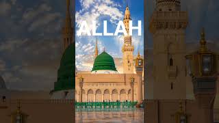 ইসলামিক ভিডিও শেয়ার করেছেন? 🤔🕋#shorts​ #islam​ #islamicstatus​ #islamic​ #motivational
