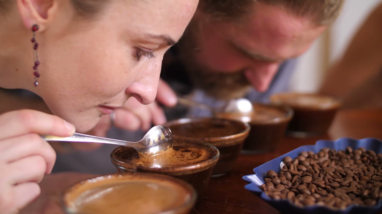 Discover Costa Rica - with ARA Tours!