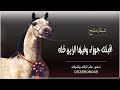 شيلة مدح باسم جوزاء اقبلت جوزاء وفيها الزين كله شيلات حماسيه رقص 2025