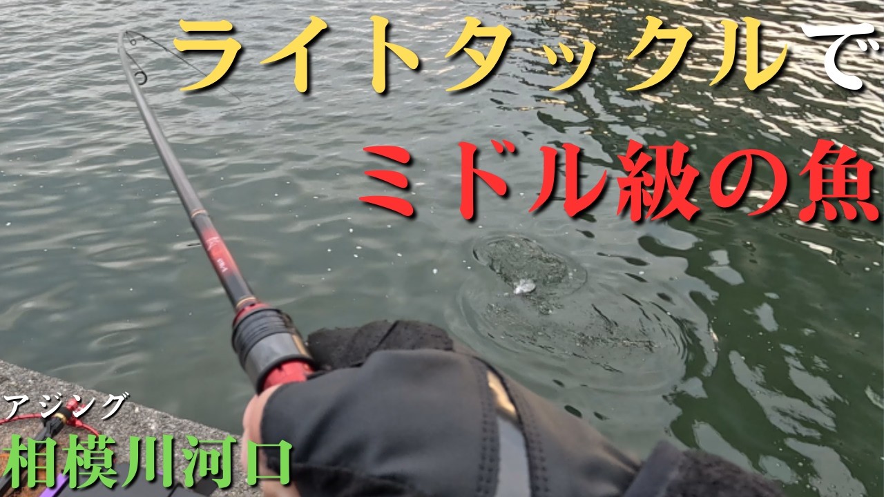 相模川河口】人生初の経験とライトタックルでミドル級の魚は釣れるのか