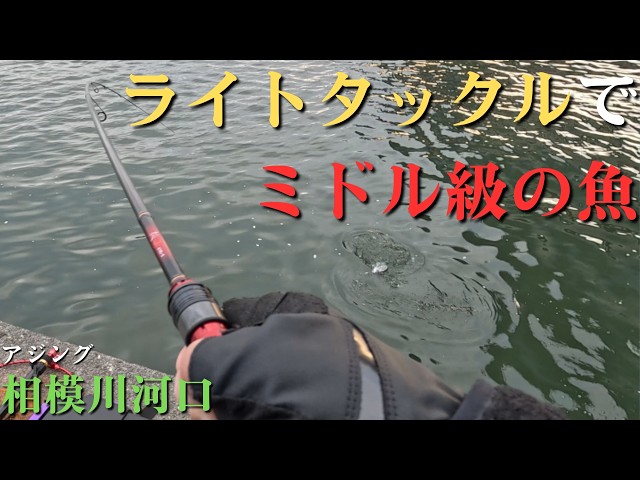 相模川河口】人生初の経験とライトタックルでミドル級の魚は釣れるのか