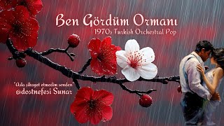 Ben Gördüm Ormanı - 1970S Turkish Orchestral Pop Dost Nefesi 2026