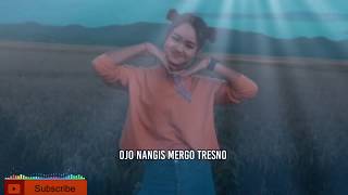Download Lagu Story wa ojo goblok mencinta
