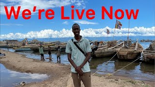 Marius Traveller is live!