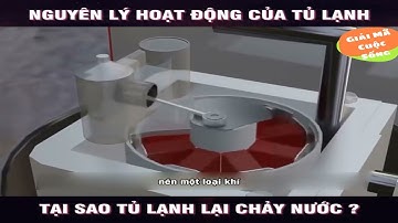 Nguyên lý hoạt động của tủ lạnh - Tại sao tủ lạnh chảy nước tùm lum?