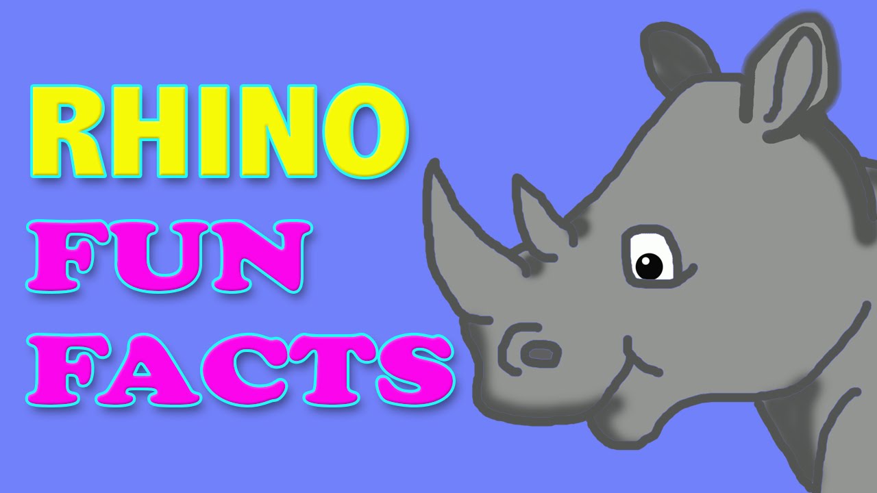 Fun Facts About Rhinoceros | Needlz and Skratch