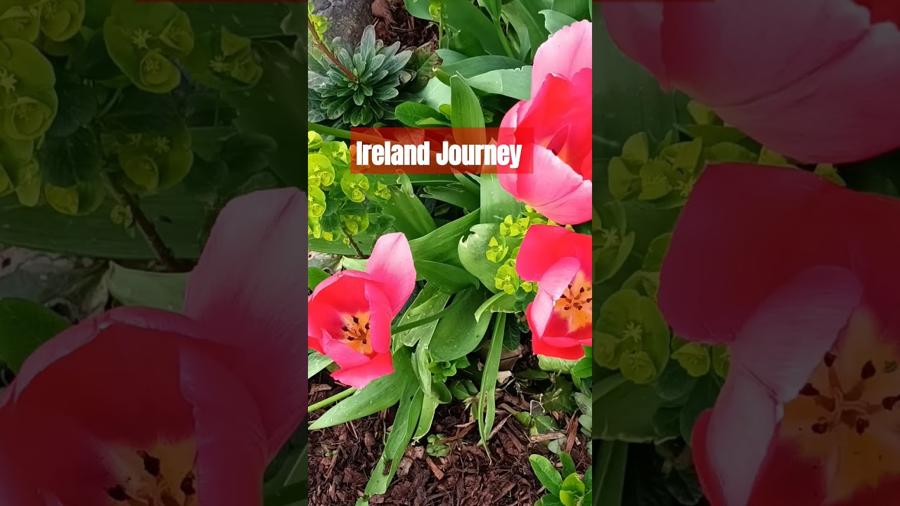 Ireland Journey 