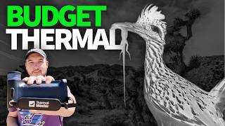 Filming Desert Birds at Night With a Thermal (Thermal Master)