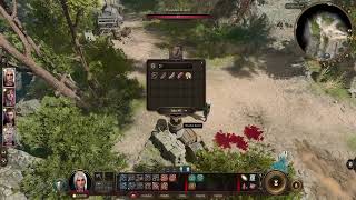 Baldurs Gate 3 6 Minute Video On Homosexuality Truth On Bible.