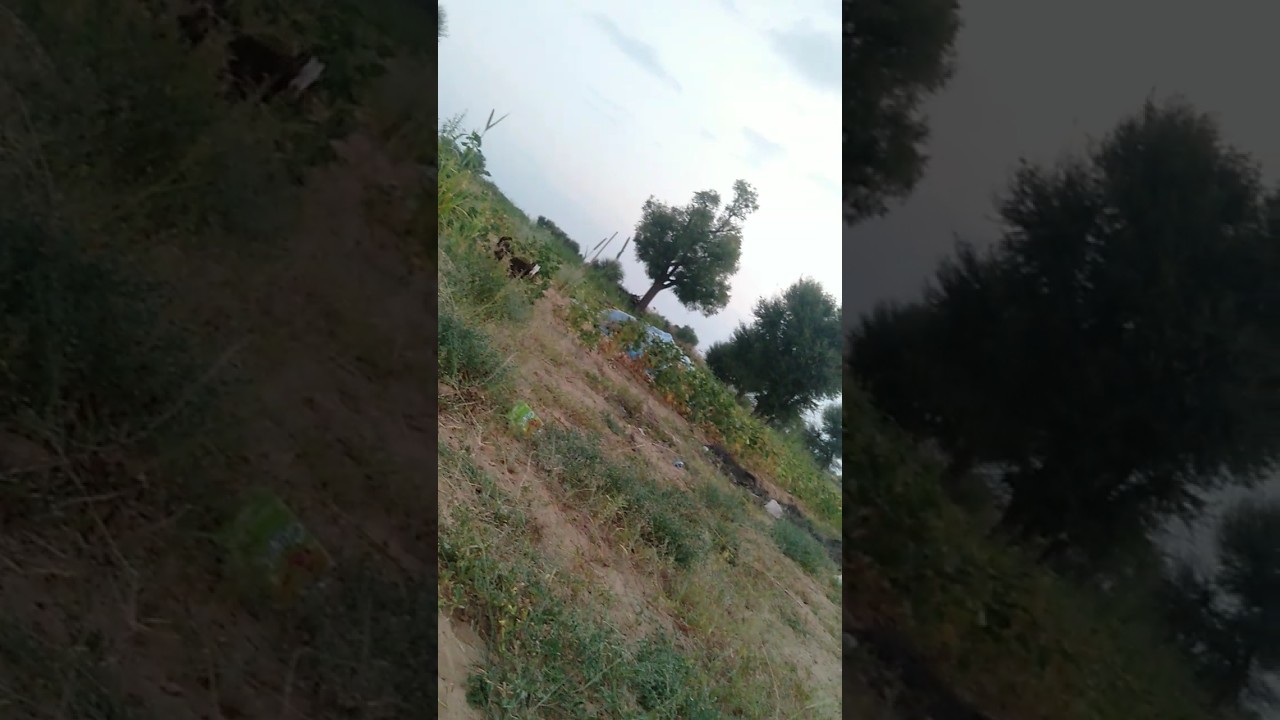 short farming video ️ shorts viral trending farming ytshorts 