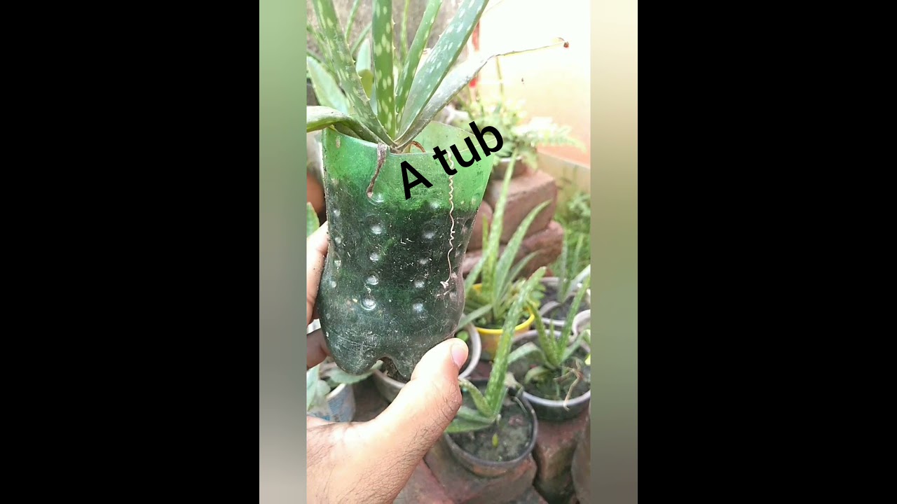 NUL- Nothing is Useless | Example 1 | 