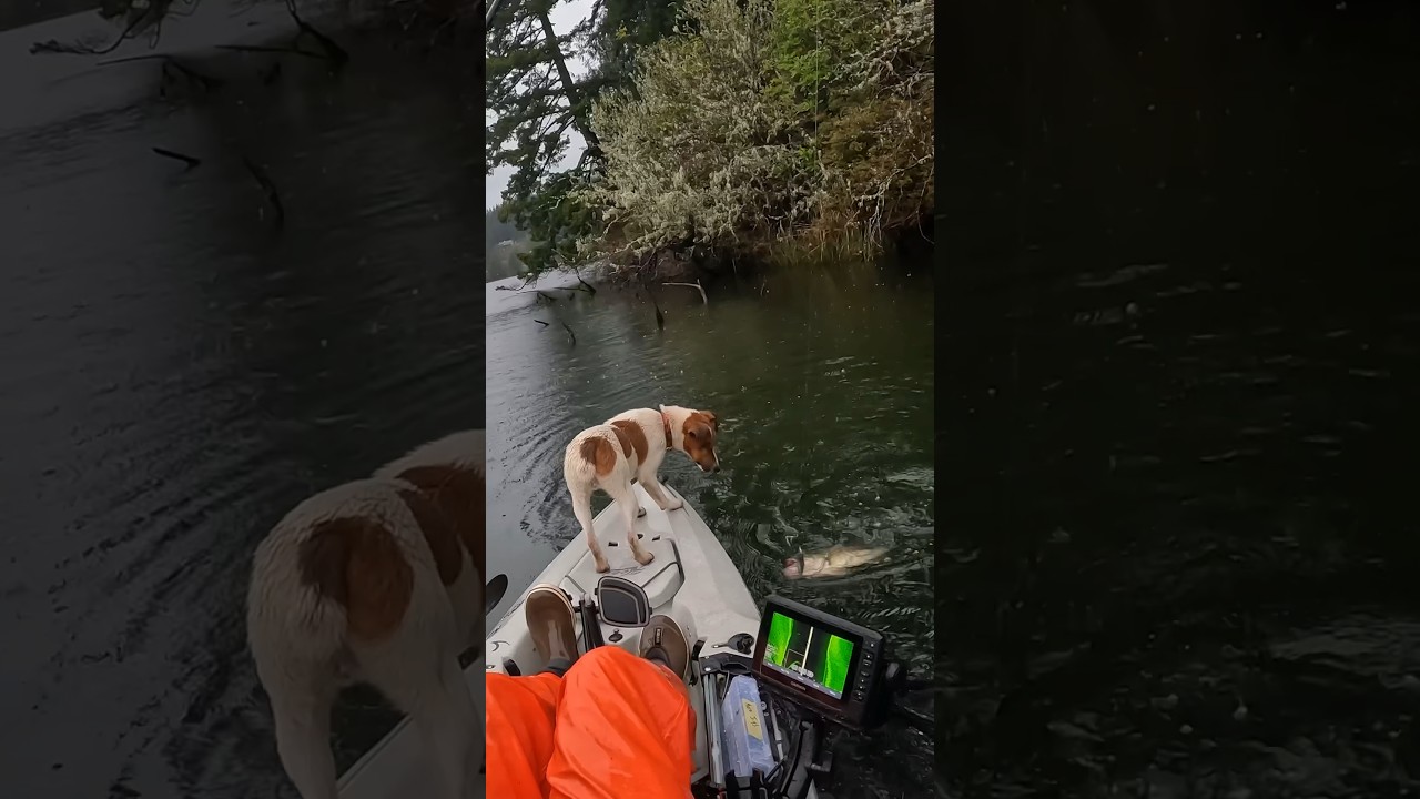Oregon Spring Kayak Bass Fishing Rainstorm & Rudy 