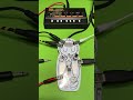 NAMUシンセ＋monotron DELAY