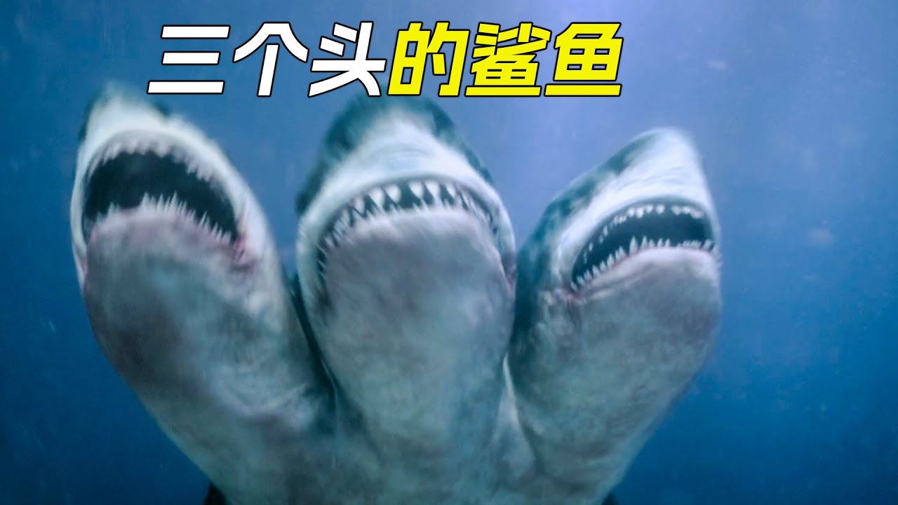 鯊魚發生變異，長出了三個頭，在大海裡所向無敵，科幻，奇幻，電影，解說，獵奇，懸疑，冒險，鯊魚