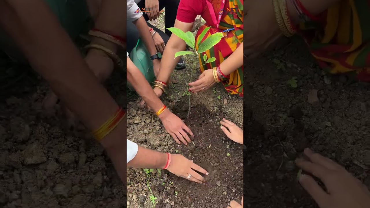 🌳  Vidyavan Campaign Grand Tree Plantation 2024 (एक पेड़ माँ के नाम) JNCT Professional University