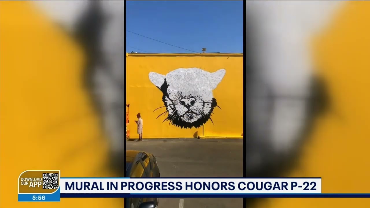 Роспись в честь пумы P 22 в процессе...