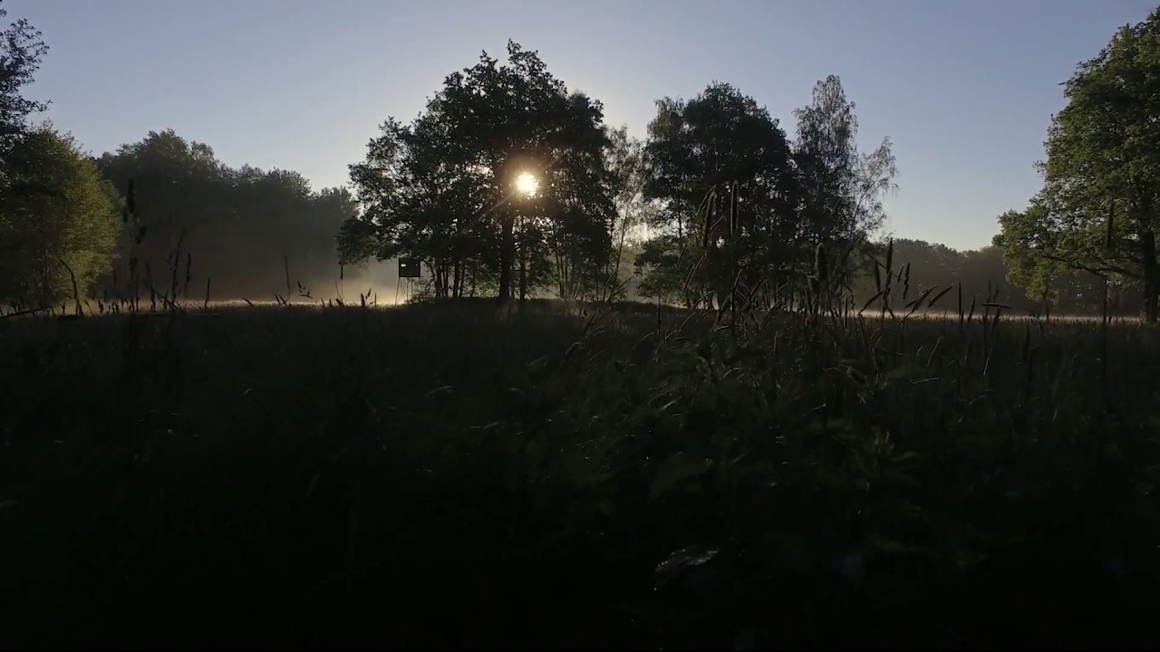 Stereochemistry - Echo Love - Outtake 2