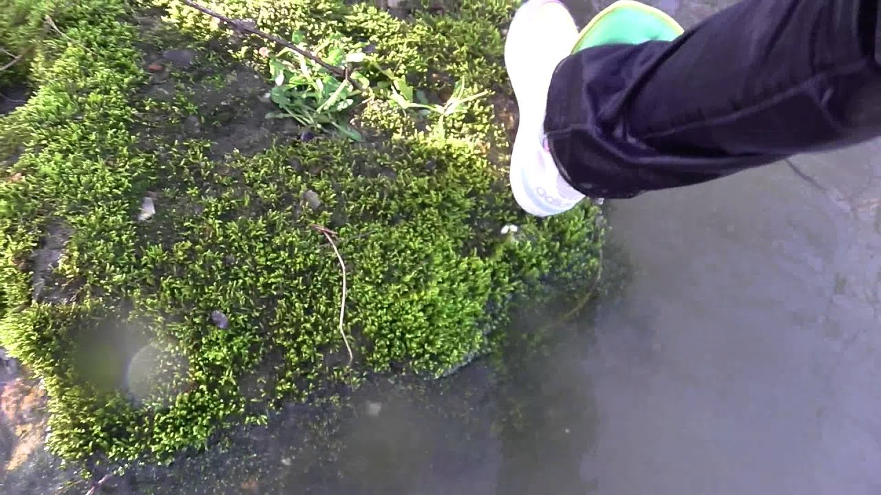 Mega Plouf dans la Seine - LOWA Renegade & ADIDAS Jeremy Scott / Bis