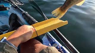 Fishing the Deep Weed Line - Lake Washington