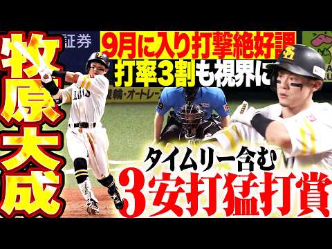 Taisei Makihara: 3 hits